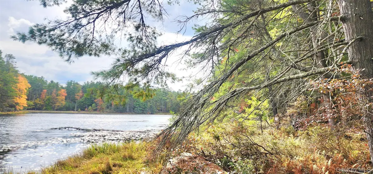 Stag Forest Road, Forestburgh, NY 12777 - Image #1