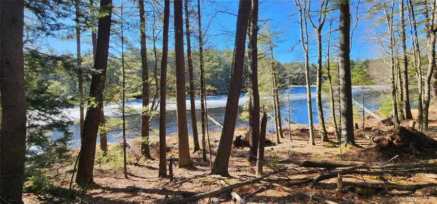 Stag Forest Road, Forestburgh, NY 12777 - Image #2