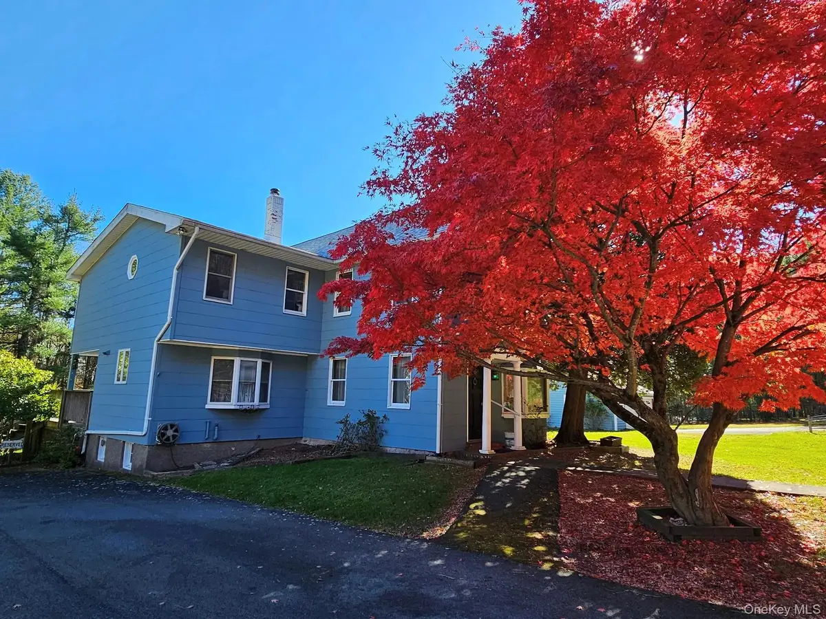 107 Eldred Yulan Road, Eldred, NY 12732 - Image #1