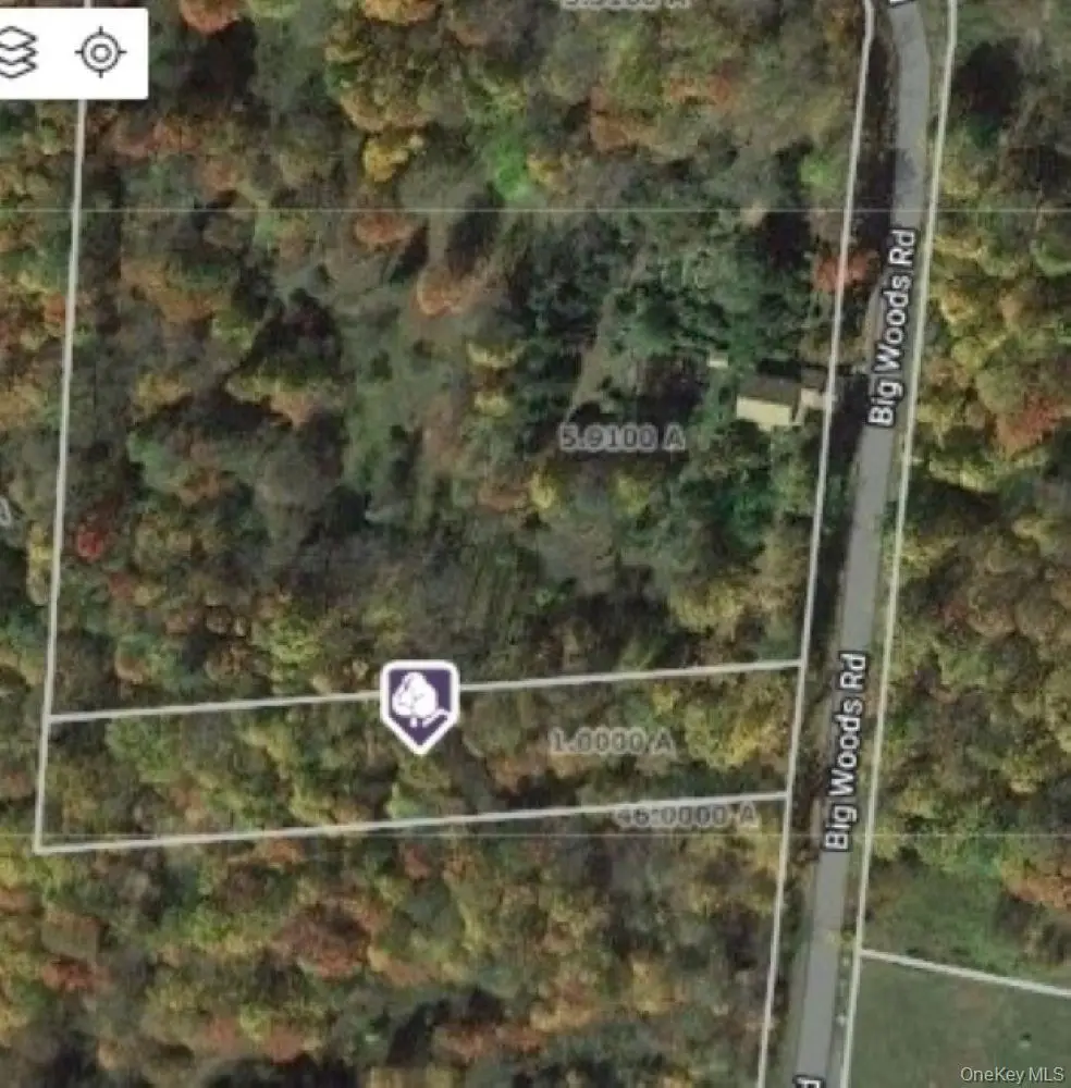 Big Woods Road, Harris, NY 12742 - Image #1