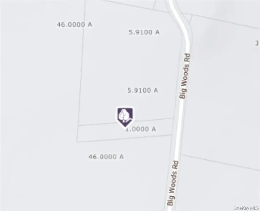 Big Woods Road, Harris, NY 12742 - Image #3