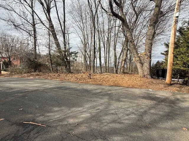 25 Coverly Avenue, Staten Island, NY 10301 - Image #2