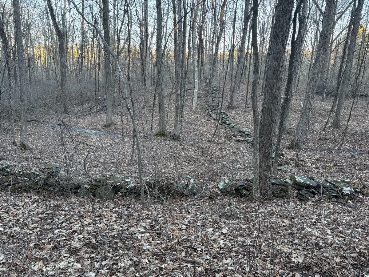 Barkit Kennel Rd, Pleasant Valley, NY  - Image #1