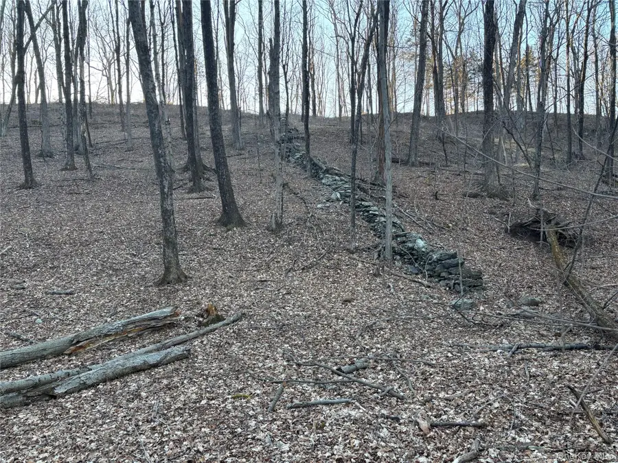 Barkit Kennel Rd, Pleasant Valley, NY  - Image #3