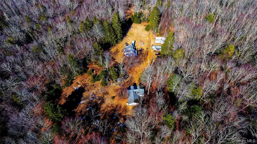 1021 Pine Kill Road, Wurtsboro, NY 12790 - Image #3