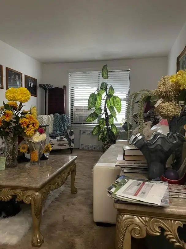 87-40 Francis Lewis Boulevard #B42, Queens Village, NY 11427 - Image #2