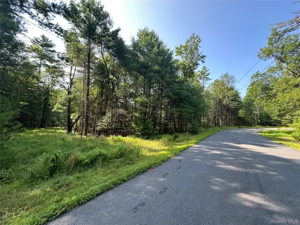 Lot 46 Summit Drive, Barryville, NY 12719