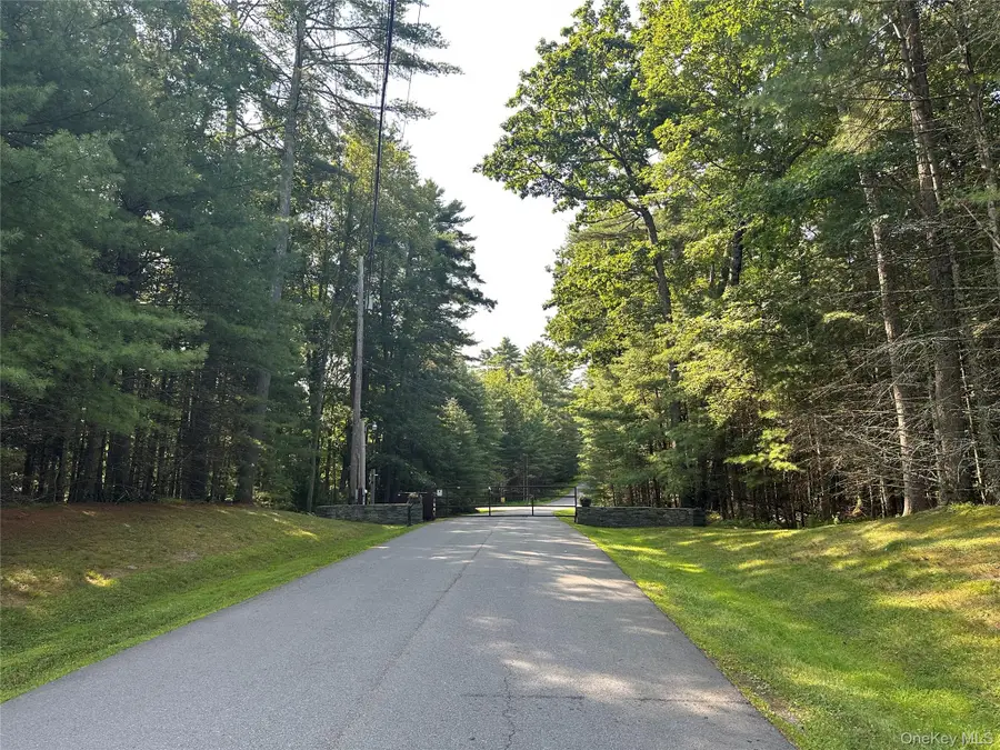 Lot 46 Summit Drive, Barryville, NY 12719 - Image #2