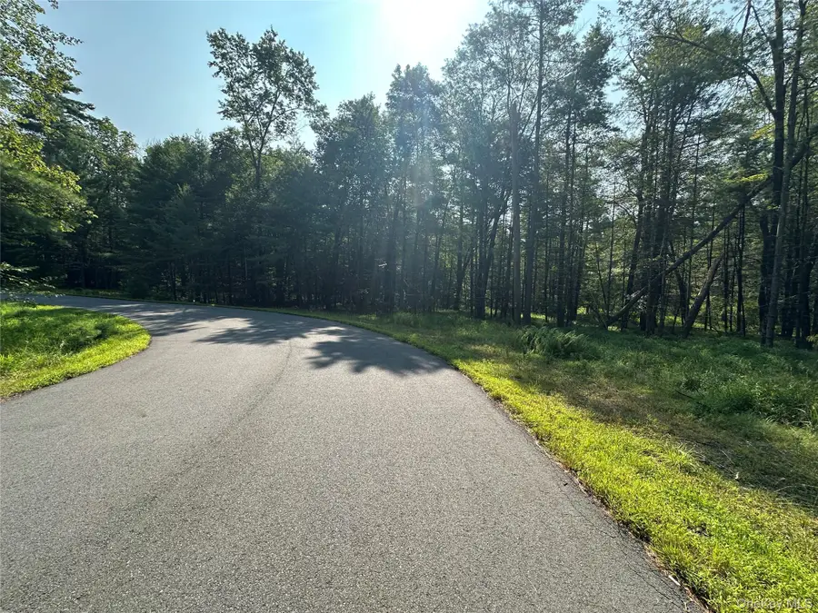 Lot 46 Summit Drive, Barryville, NY 12719 - Image #3