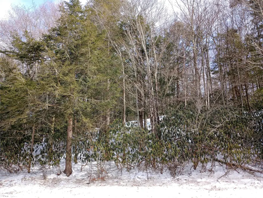 Benton Hollow Road, Neversink, NY 12765 - Image #2