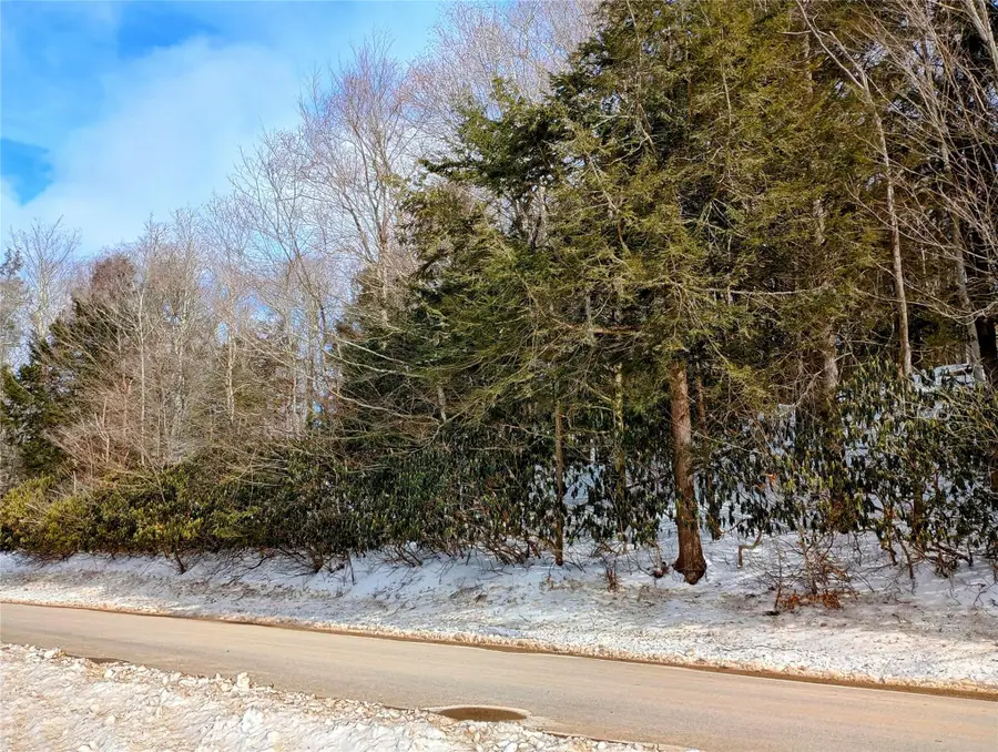 Benton Hollow Road, Neversink, NY 12765 - Image #3