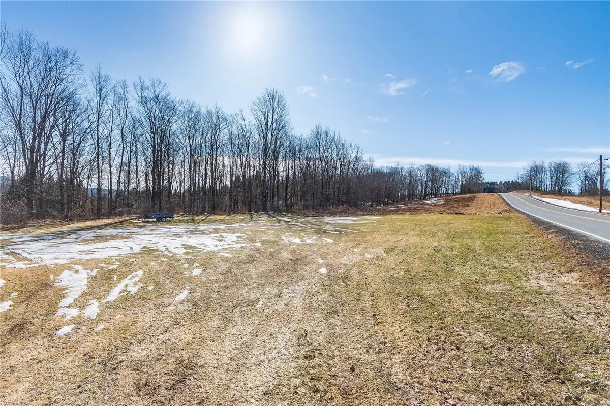 161 White Sulphur Road, Swan Lake, NY 12783 - Image #1