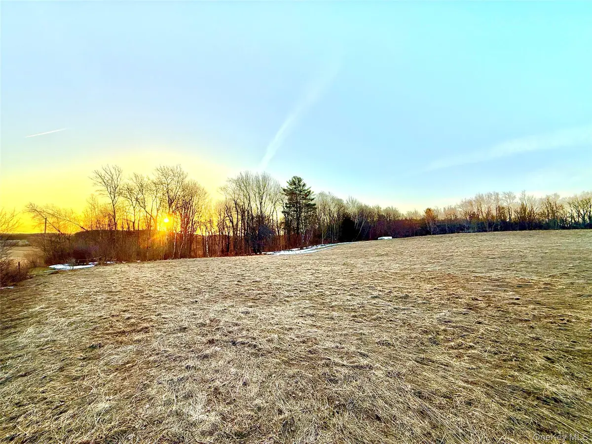 2182 Snake Hill Road, Franklin, NY 13775 - #1