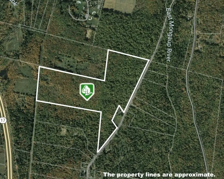 0 Big Woods Road, Harris, NY 12742 - Image #1