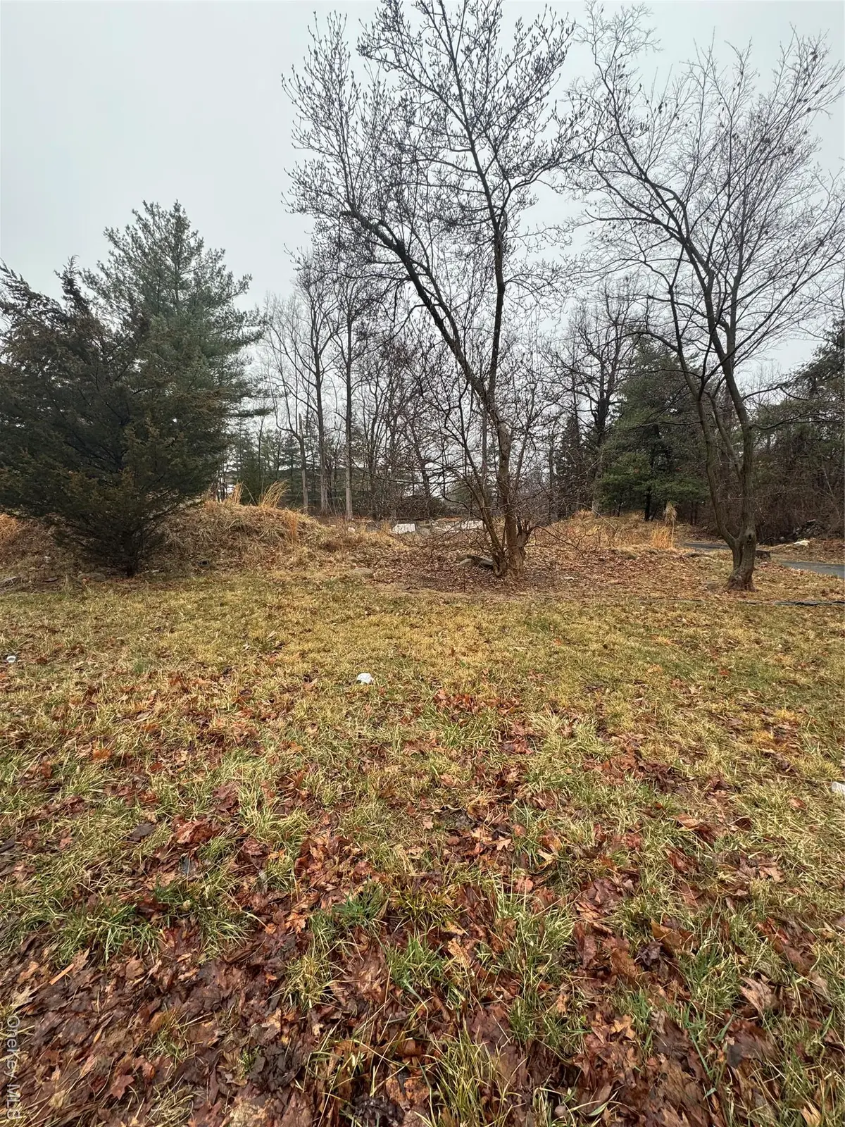 28 Williams Road, Chestnut Ridge, NY 10977 - Image #1