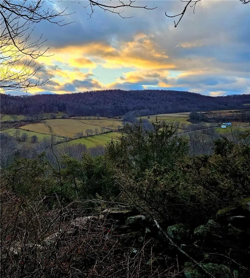 295 Pleasant Valley Road, North Branch, NY 12766 - Image #3