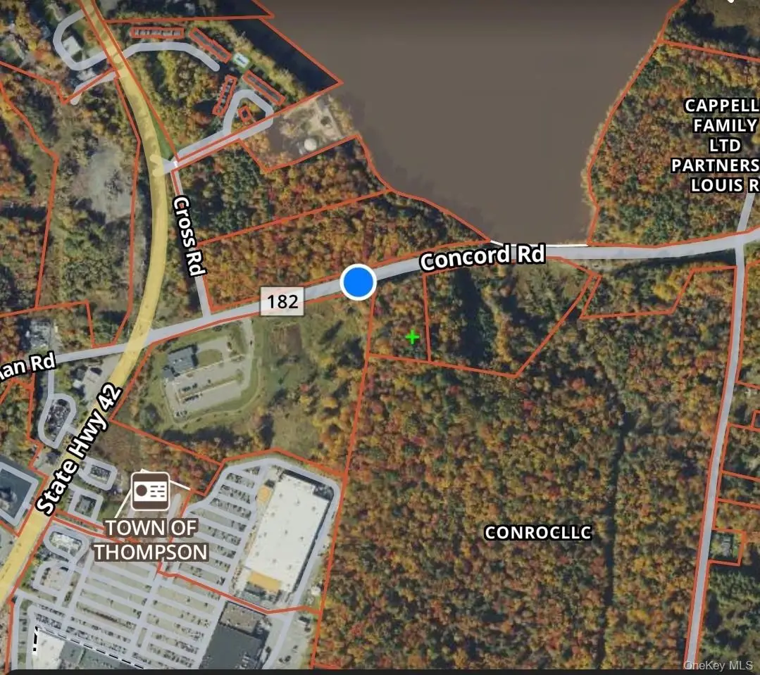 42 Concord Road, Kiamesha Lake, NY 12751 - Image #1