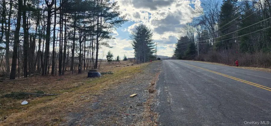 42 Concord Road, Kiamesha Lake, NY 12751 - Image #2