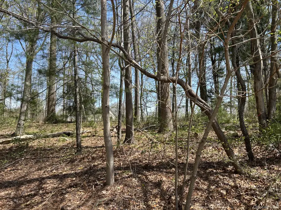 10 Bromley Court, Muttontown, NY 11791 - Image #3