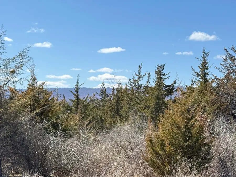 #2 Lot #2 Westerly Ridge Drive, Amenia, NY 12501 - Image #3