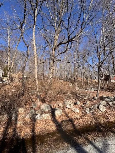 110 Rushmore Road, East Fishkill, NY 12582 - Image #1