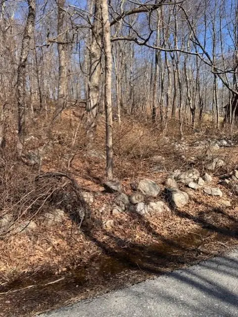 110 Rushmore Road, East Fishkill, NY 12582 - Image #3