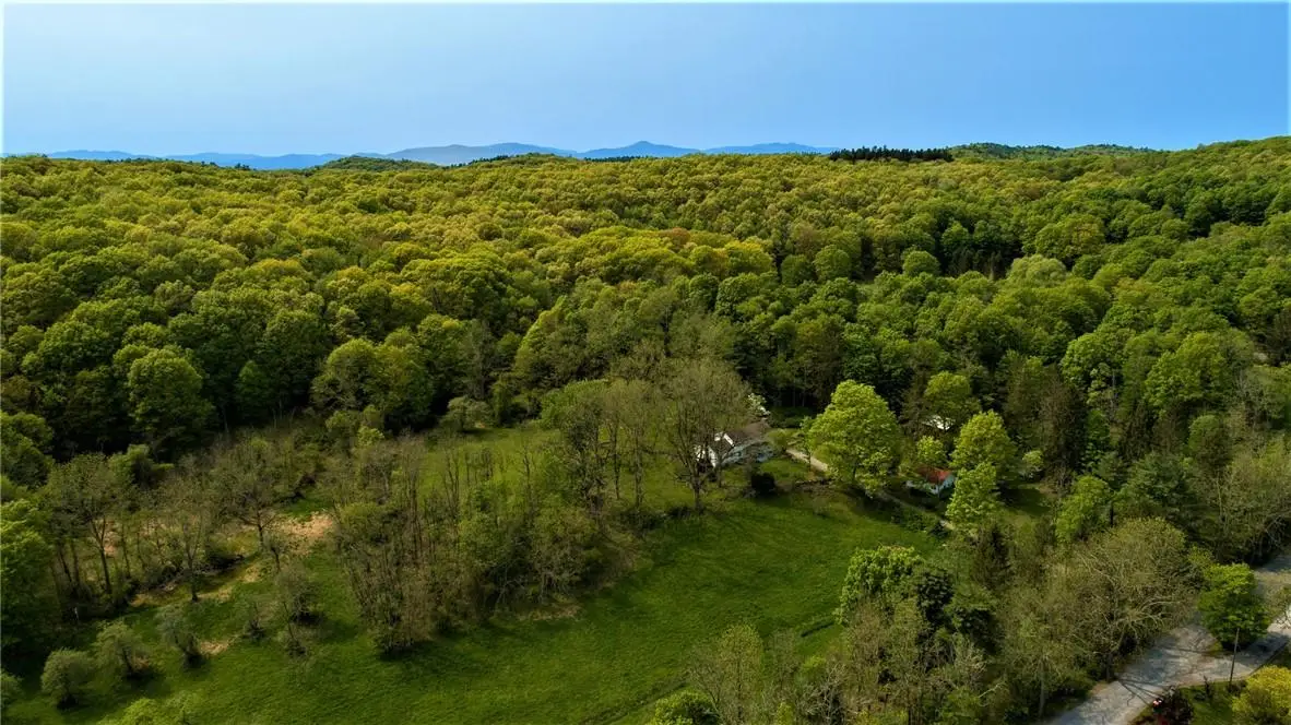 303 Hicks Hill Road, Stanfordville, NY 12582 - Image #1