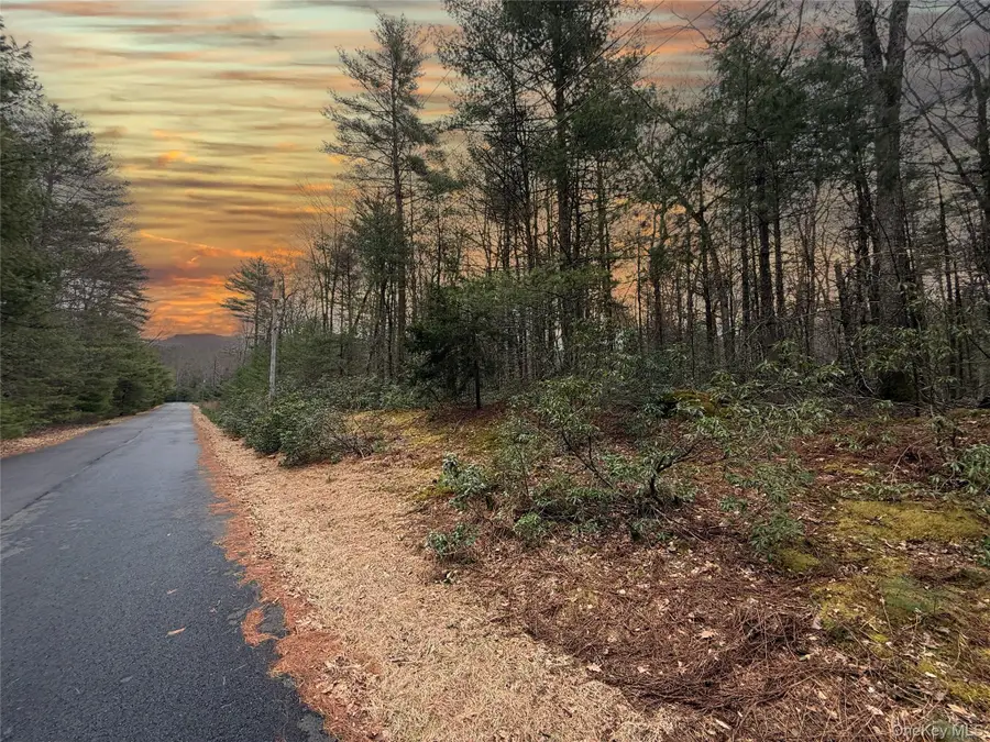 Summit Drive, Highland, NY 12792 - Image #2