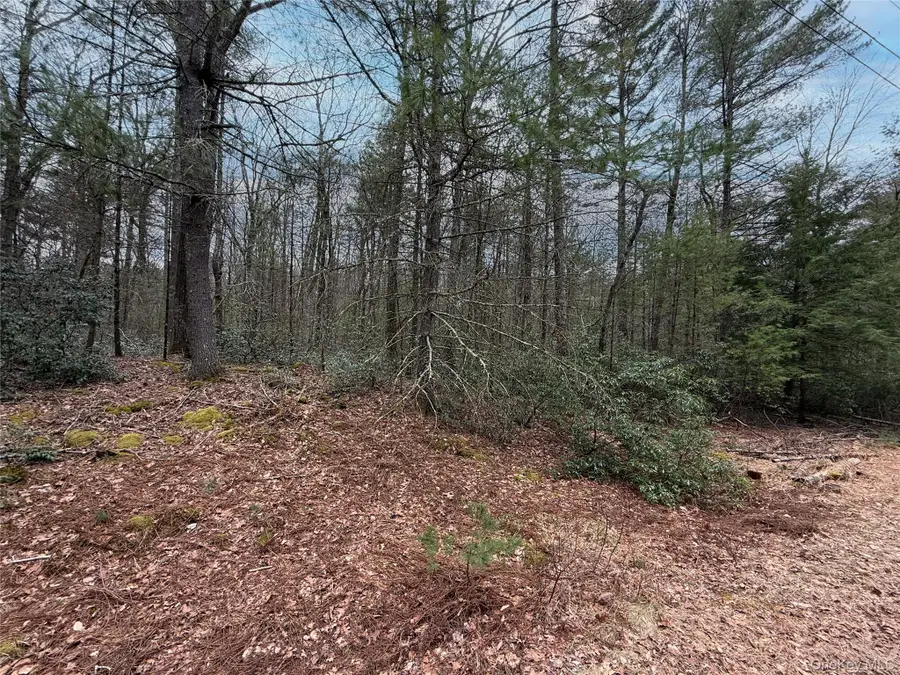 Summit Drive, Highland, NY 12792 - Image #3