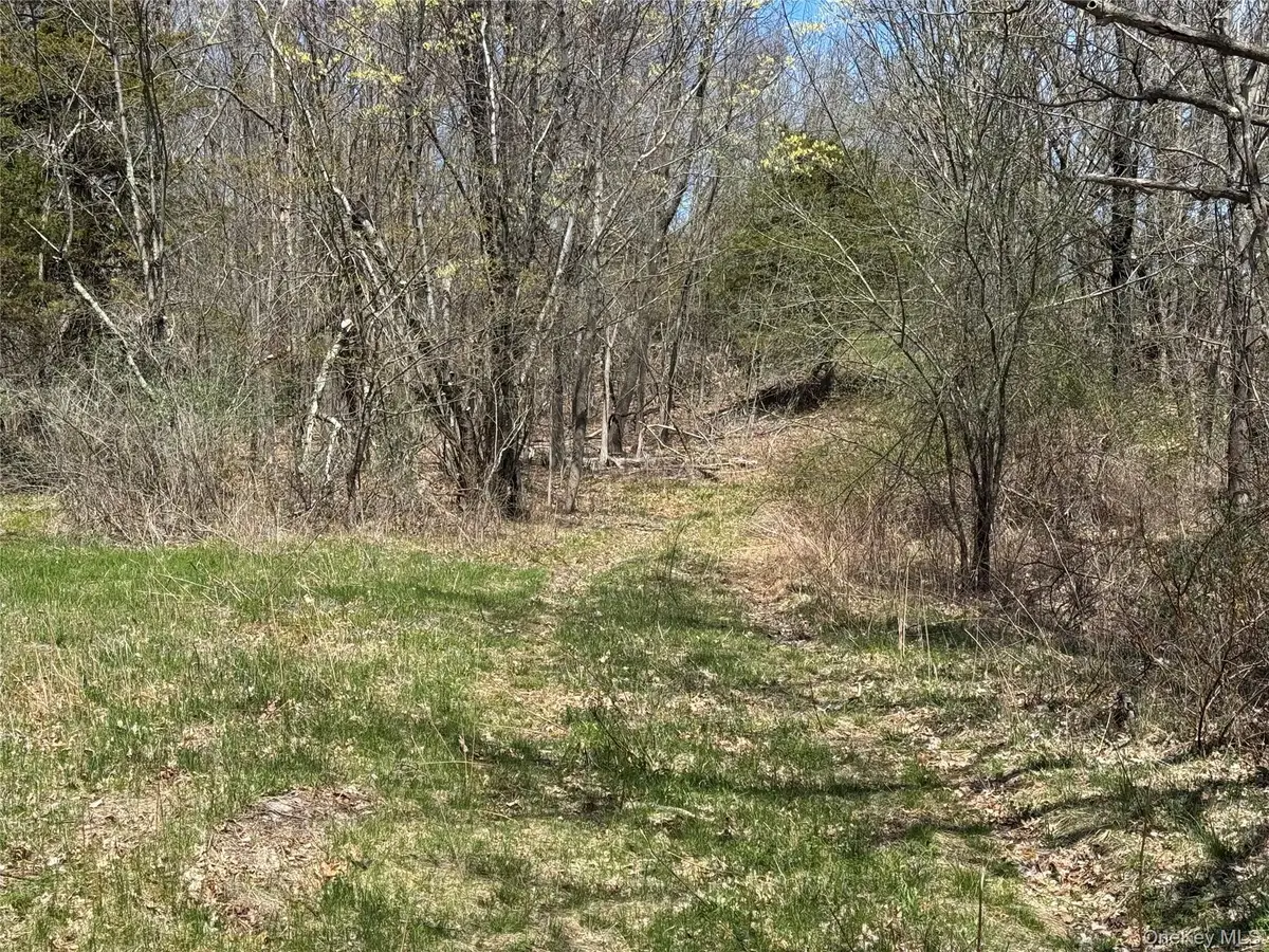 0 County Route 10, Ancram, NY 12502 - Image #1