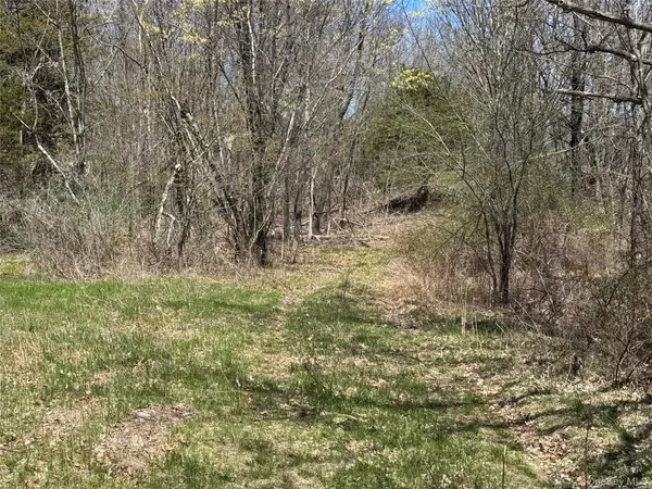 0 County Route 10, Ancram, NY 12502