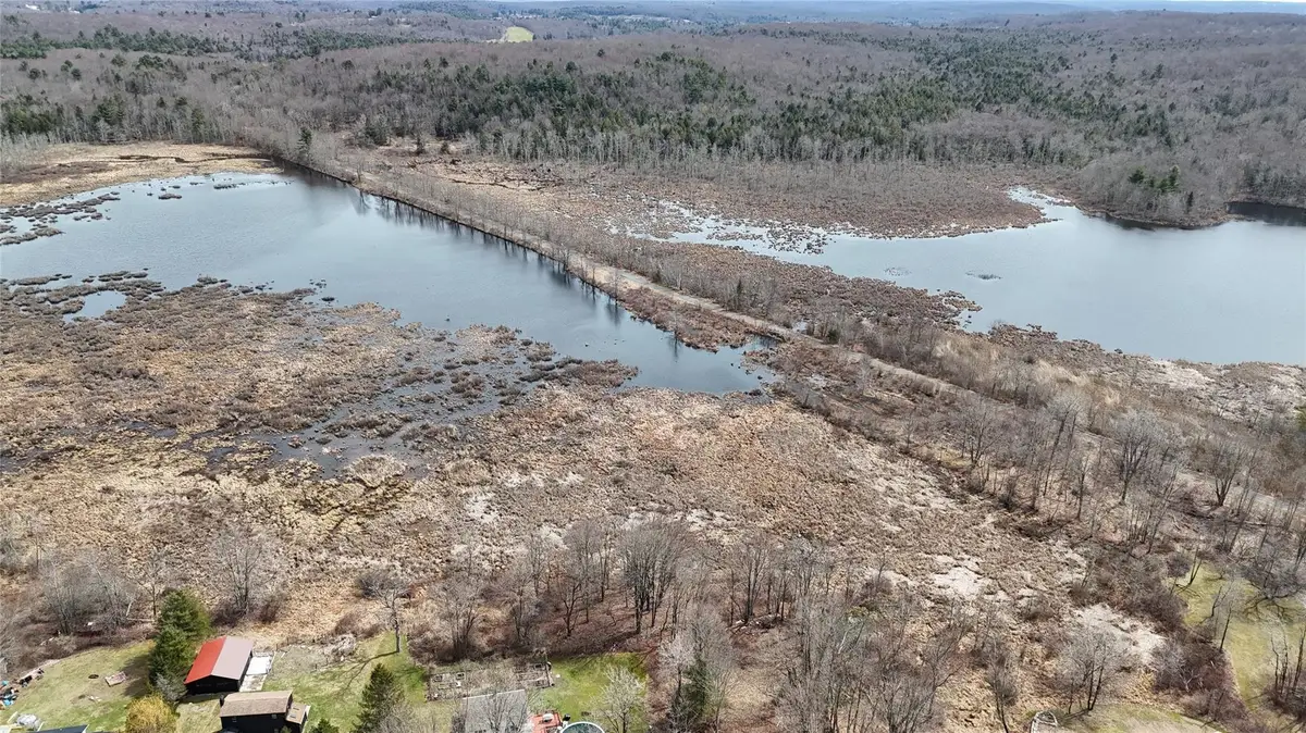 Cole Street, Fallsburg Town, NY 12733 - Image #1