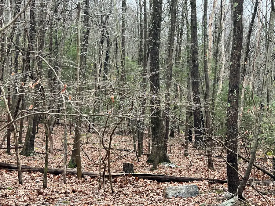 41 California Road, Warwick, NY 10990 - Image #3