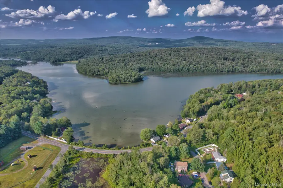 39 Birch Lane, Swan Lake, NY 12783 - Image #2