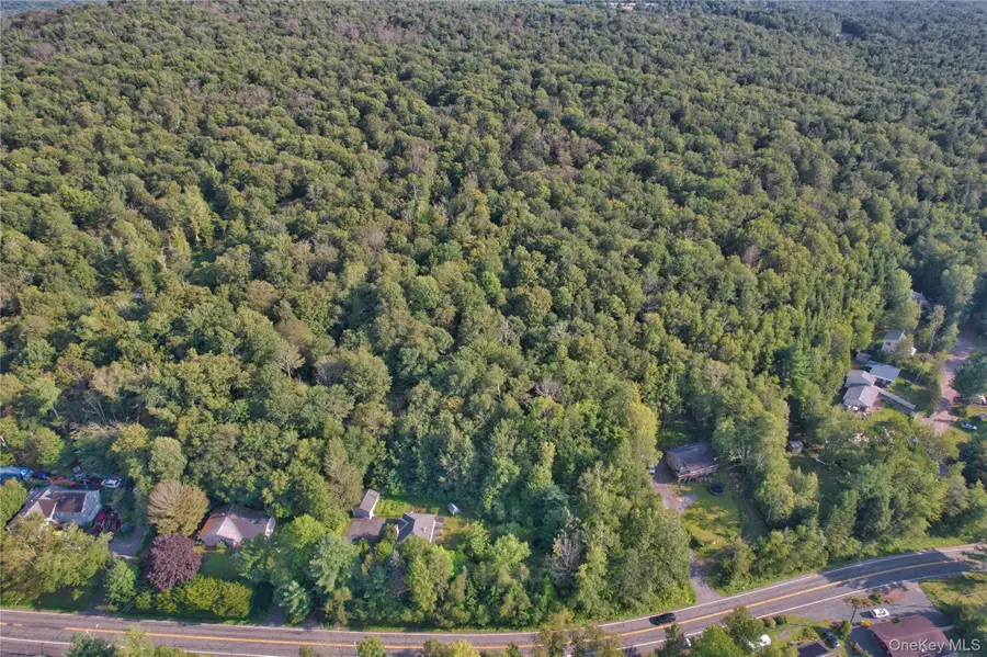 39 Birch Lane, Swan Lake, NY 12783 - Image #3