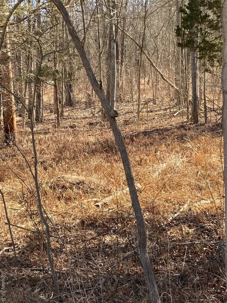 799 Albany Post Road, Gardiner, NY 12525 - Image #3