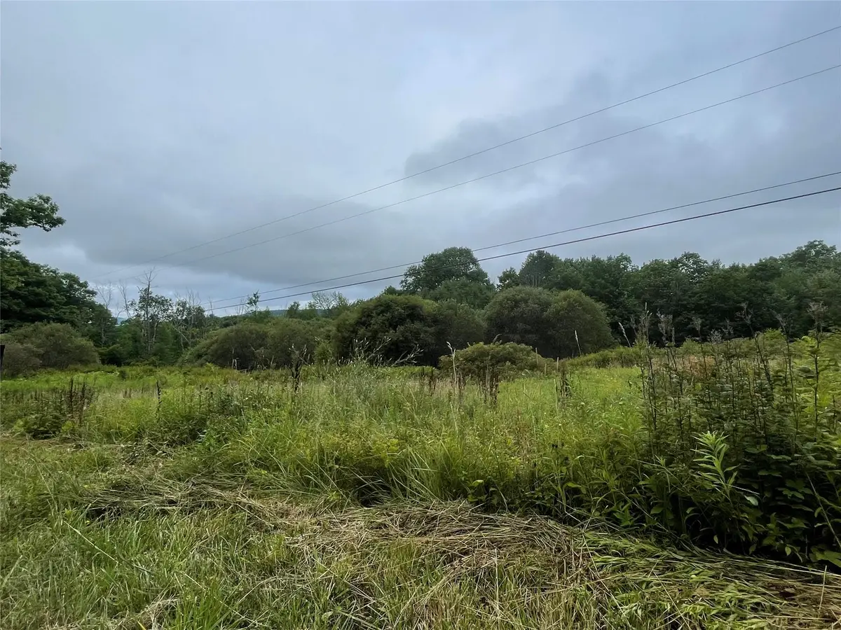 Basil Todd Road, Fleischmanns, NY 12430 - Image #1