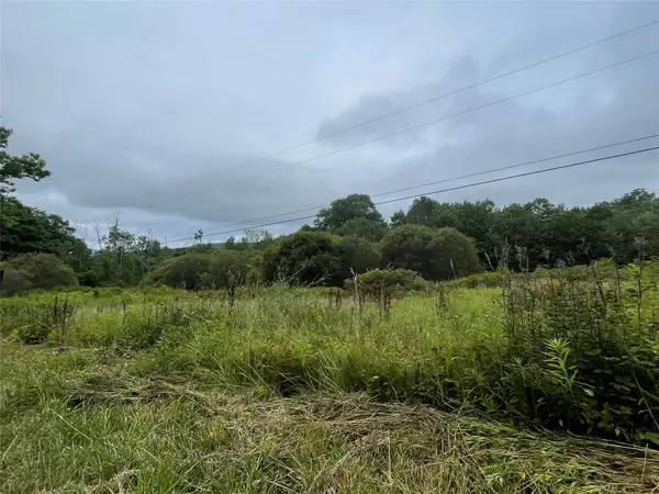 Basil Todd Road, Fleischmanns, NY 12430