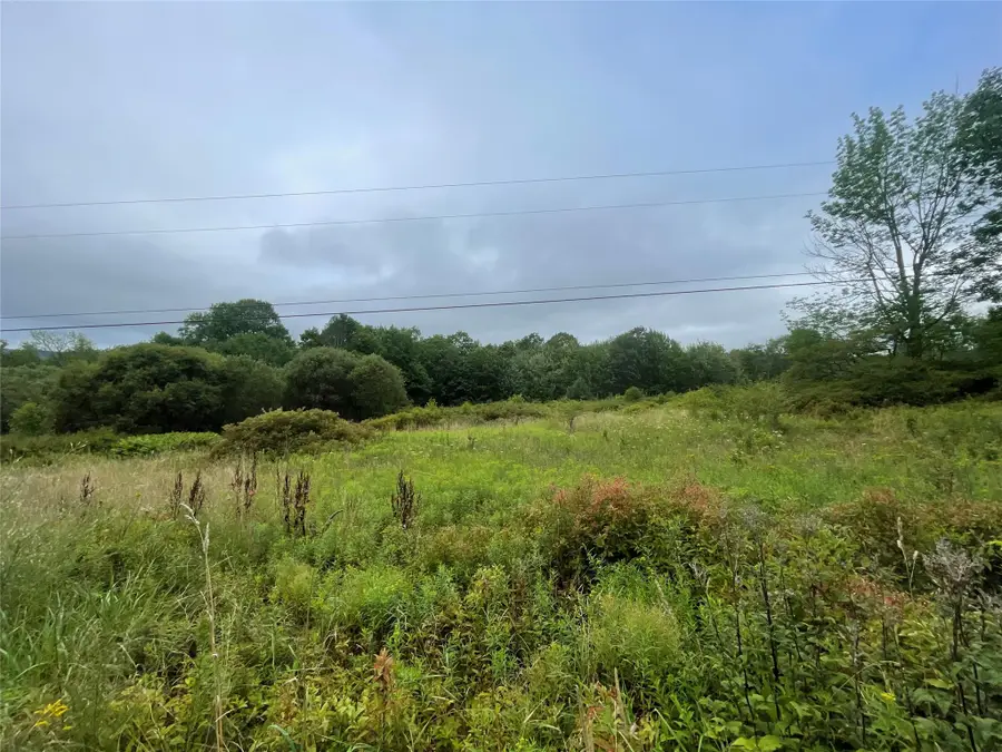 Basil Todd Road, Fleischmanns, NY 12430 - Image #3