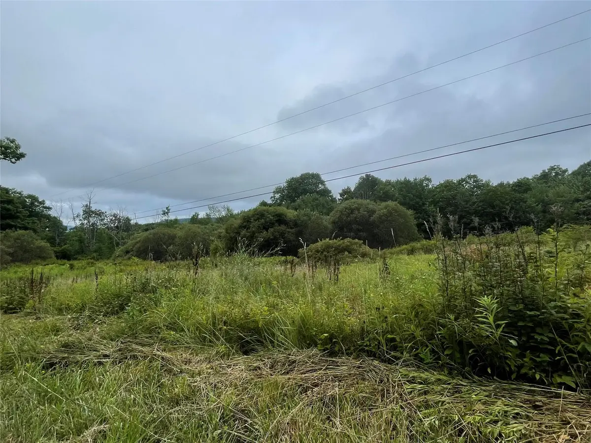 Basil Todd Road, Fleischmanns, NY 12430 - #1
