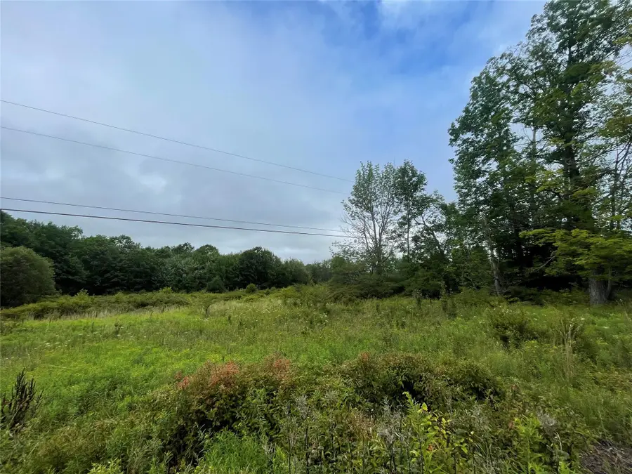 Basil Todd Road, Fleischmanns, NY 12430 - #2