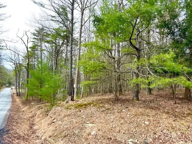 Lot 11 Magnolia Drive, Glen Spey, NY 12737 - Image #1