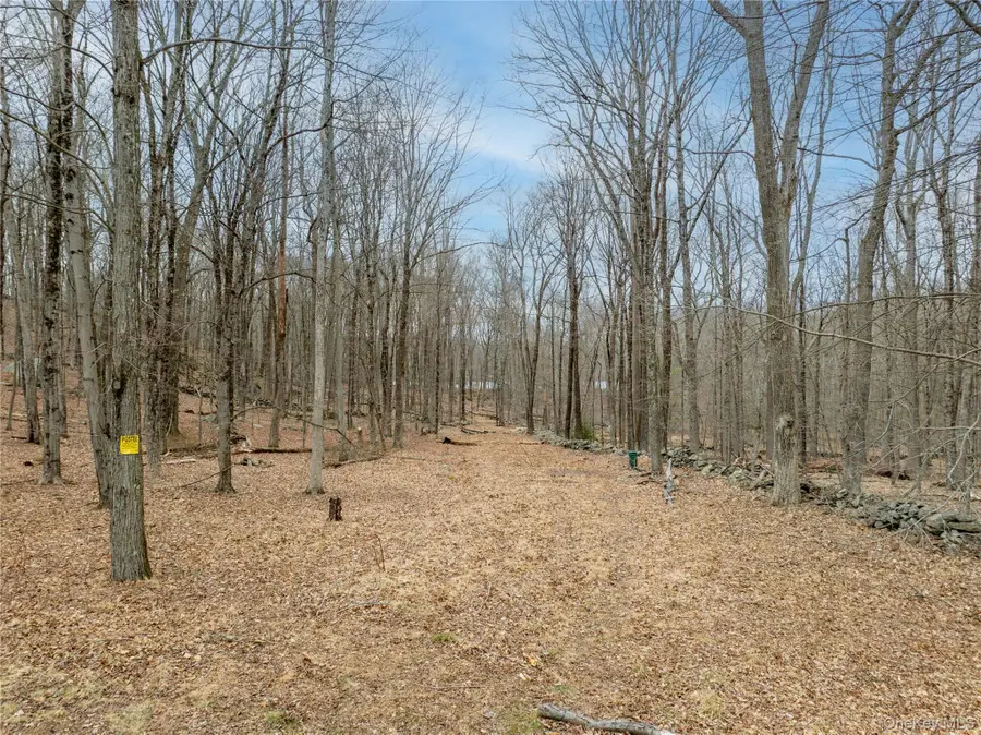 22 Joshua Hobby Lane, Pound Ridge, NY 10576 - Image #2