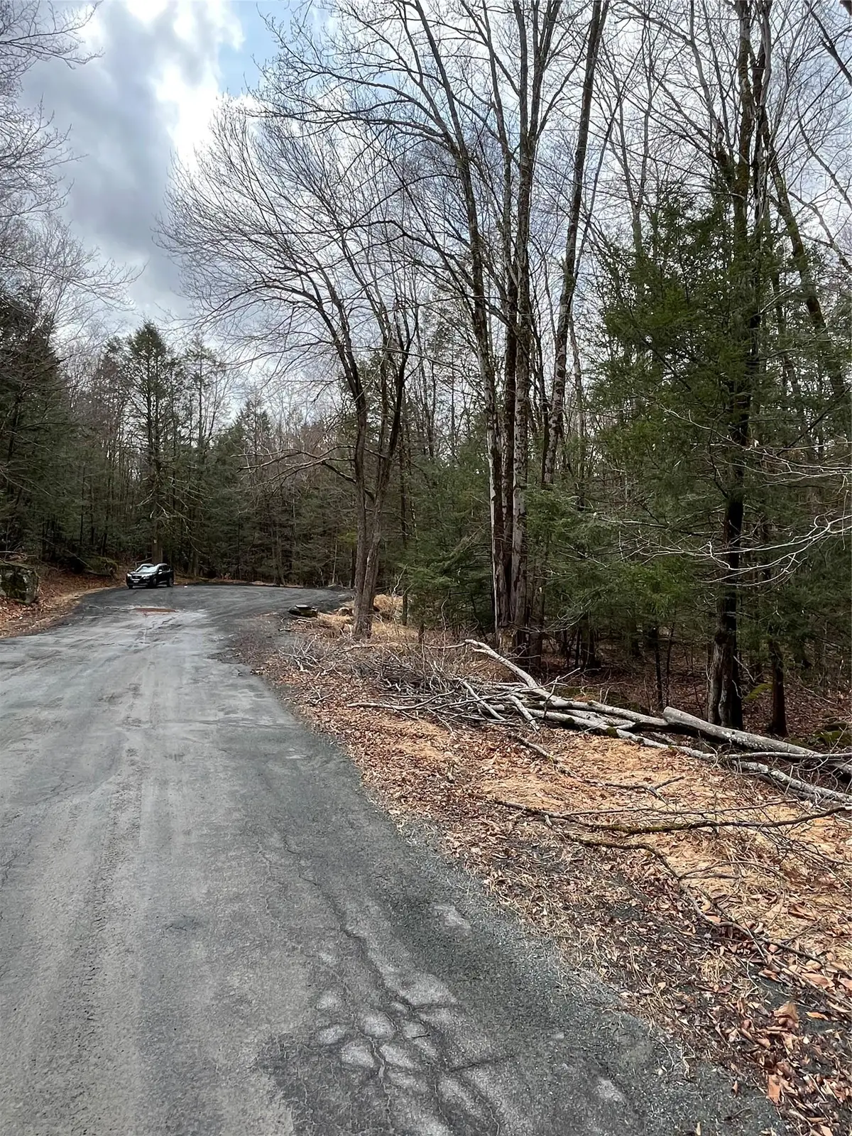 Leins Road, Fallsburg, NY Leins Road, Fallsburg, NY 12733 - Image #1