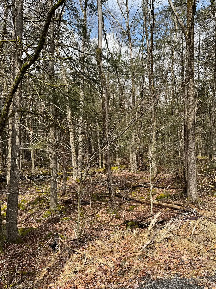 Leins Road, Fallsburg, NY Leins Road, Fallsburg, NY 12733 - Image #2