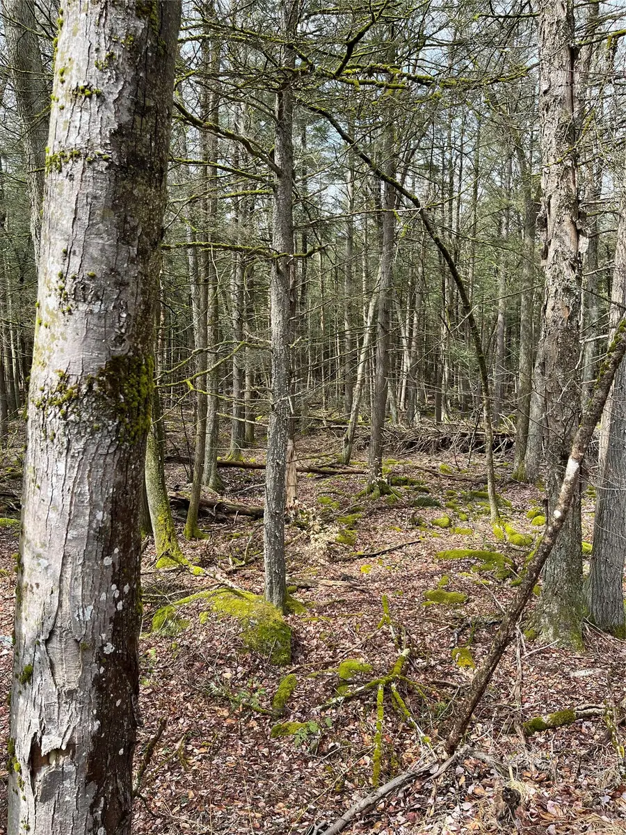 Leins Road, Fallsburg, NY Leins Road, Fallsburg, NY 12733 - Image #3