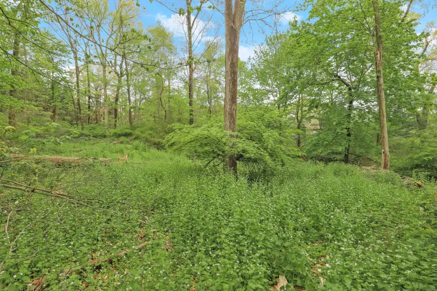 32-3 Orchard Drive, Armonk, NY 10504 - Image #2