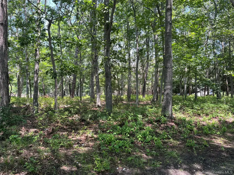 75 Montauk Highway, Westhampton, NY 11977 - Image #3