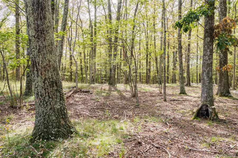 598 S Mountain Road, Gardiner, NY 12525 - Image #2