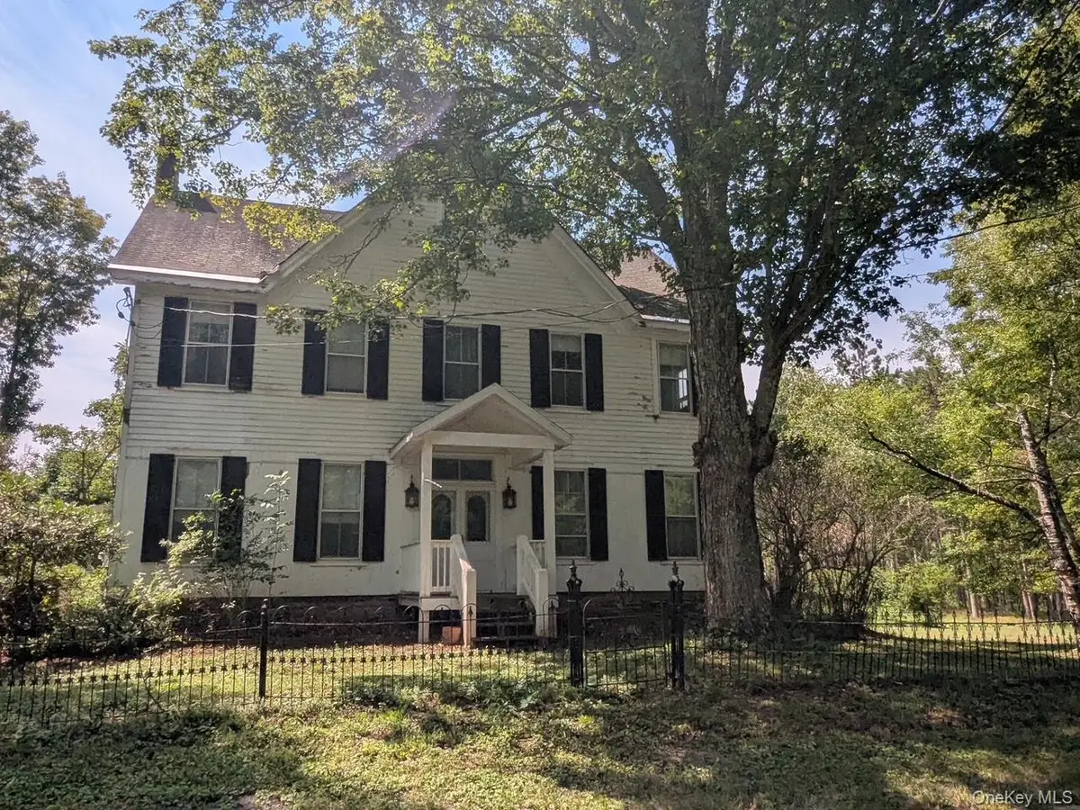 293 Carl Road, Jewett, NY 12444 - Image #1